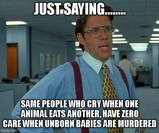 Double Standard | JUST SAYING........ SAME PEOPLE WHO CRY WHEN ONE ANIMAL EATS ANOTHER, HAVE ZERO CARE WHEN UNBORN BABIES ARE MURDERED | image tagged in memes,that would be great,fragile feelings | made w/ Imgflip meme maker