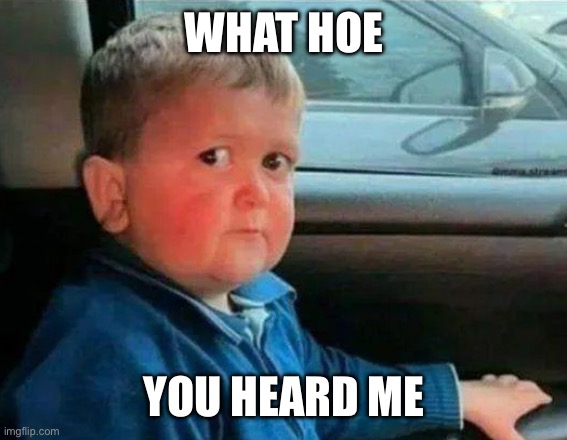 hasbulla car | WHAT HOE; YOU HEARD ME | image tagged in hasbulla car | made w/ Imgflip meme maker