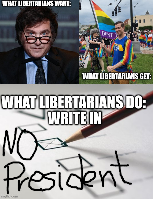WHAT LIBERTARIANS WANT:; WHAT LIBERTARIANS GET:; WHAT LIBERTARIANS DO: 
WRITE IN | image tagged in milei no hay plata,voting ballot | made w/ Imgflip meme maker