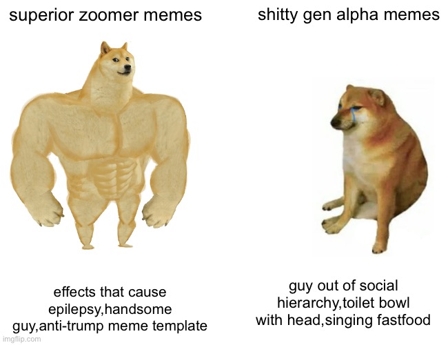 zoomer memes vs gen alpha menes | superior zoomer memes; shitty gen alpha memes; guy out of social hierarchy,toilet bowl with head,singing fastfood; effects that cause epilepsy,handsome guy,anti-trump meme template | image tagged in memes,buff doge vs cheems | made w/ Imgflip meme maker