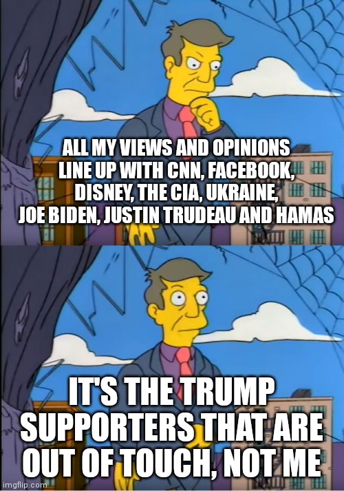 NPC Skinner in denial | ALL MY VIEWS AND OPINIONS LINE UP WITH CNN, FACEBOOK, DISNEY, THE CIA, UKRAINE, JOE BIDEN, JUSTIN TRUDEAU AND HAMAS; IT'S THE TRUMP SUPPORTERS THAT ARE OUT OF TOUCH, NOT ME | image tagged in skinner out of touch | made w/ Imgflip meme maker