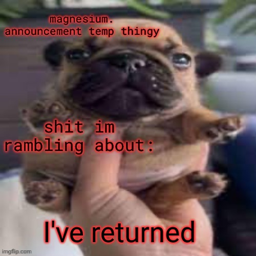 pug temp | I've returned | image tagged in pug temp | made w/ Imgflip meme maker