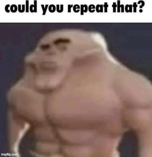could you repeat that? | image tagged in could you repeat that | made w/ Imgflip meme maker