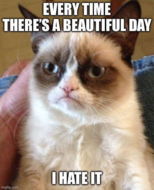 Grumpy Cat’s reaction to beautiful days: | EVERY TIME THERE’S A BEAUTIFUL DAY; I HATE IT | image tagged in memes,grumpy cat | made w/ Imgflip meme maker