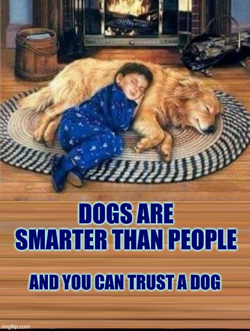 People Suck | DOGS ARE SMARTER THAN PEOPLE; AND YOU CAN TRUST A DOG | image tagged in dogs,sleeping,trust,smart dog,love,i love you | made w/ Imgflip meme maker