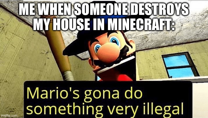 Don’t destroy someone’s house in Minecraft | ME WHEN SOMEONE DESTROYS MY HOUSE IN MINECRAFT: | image tagged in mario s gonna do something very illegal | made w/ Imgflip meme maker