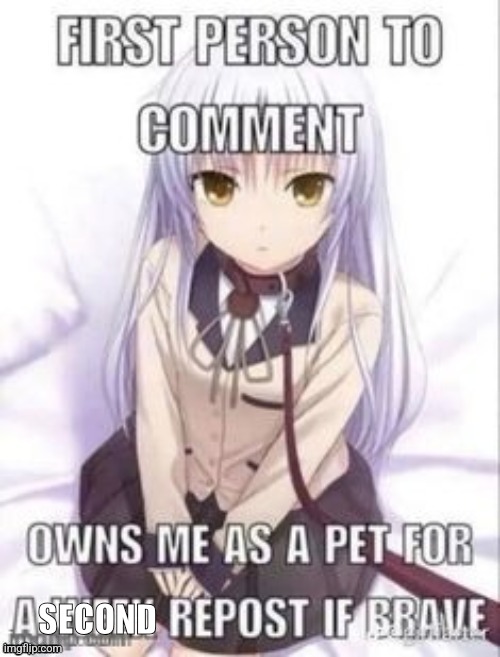 first person to comment owns as a pet forever (jk just a second) | SECOND | image tagged in first person to comment owns as a pet for a week | made w/ Imgflip meme maker