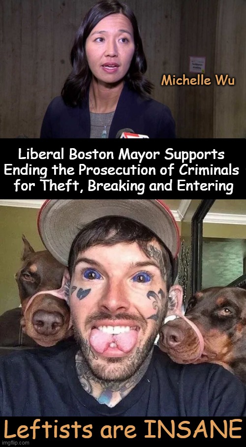 Leftists clearly engage in thoughts & behaviors today that are NOT NORMAL. | Michelle Wu; Liberal Boston Mayor Supports 
Ending the Prosecution of Criminals 
for Theft, Breaking and Entering; Leftists are INSANE | image tagged in politics,liberals vs conservatives,leftists,insane,not normal,support criminals and low to no punishment | made w/ Imgflip meme maker