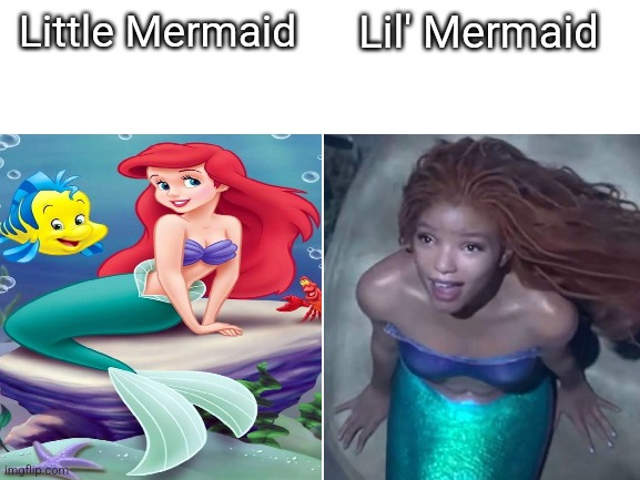 New Little Mermaid | Little Mermaid; Lil' Mermaid | image tagged in the little mermaid,funny,disney,dark | made w/ Imgflip meme maker