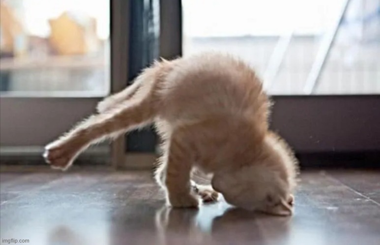 Handstand | image tagged in handstand | made w/ Imgflip meme maker