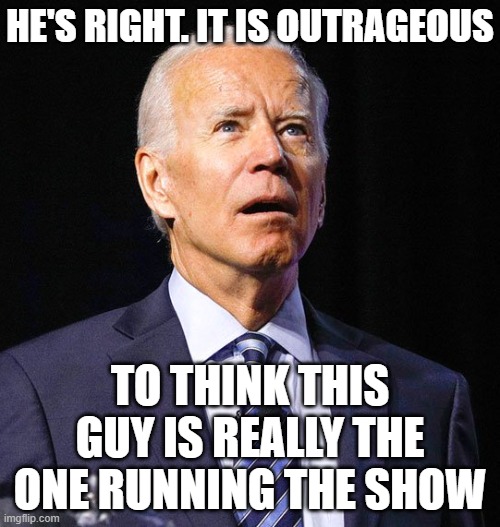 Joe Biden | HE'S RIGHT. IT IS OUTRAGEOUS TO THINK THIS GUY IS REALLY THE ONE RUNNING THE SHOW | image tagged in joe biden | made w/ Imgflip meme maker