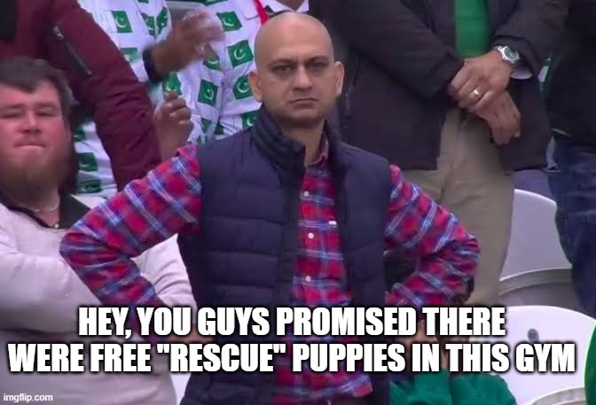 Disappointed Man | HEY, YOU GUYS PROMISED THERE WERE FREE "RESCUE" PUPPIES IN THIS GYM | image tagged in disappointed man | made w/ Imgflip meme maker
