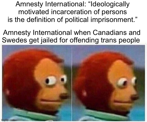 Monkey Puppet | Amnesty International: “Ideologically motivated incarceration of persons is the definition of political imprisonment.”; Amnesty International when Canadians and Swedes get jailed for offending trans people | image tagged in memes,monkey puppet | made w/ Imgflip meme maker