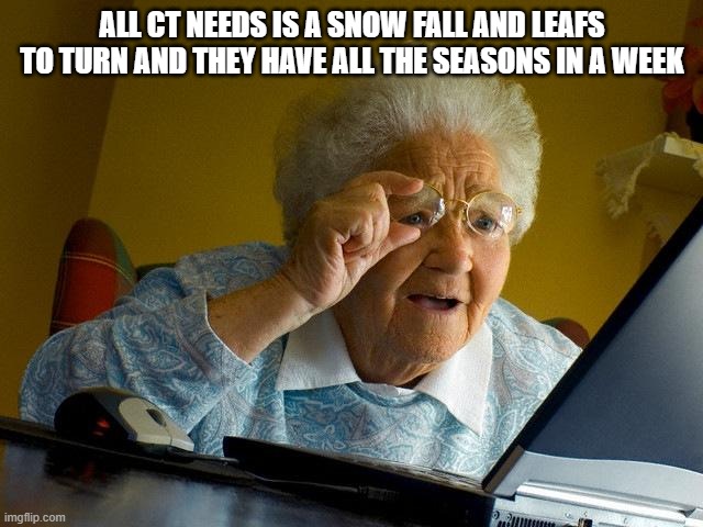 CT weather | ALL CT NEEDS IS A SNOW FALL AND LEAFS TO TURN AND THEY HAVE ALL THE SEASONS IN A WEEK | image tagged in memes,grandma finds the internet,ct weather | made w/ Imgflip meme maker