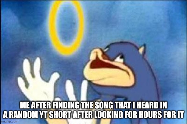LETS E GOOOOOOOOOOOOOOO | ME AFTER FINDING THE SONG THAT I HEARD IN A RANDOM YT SHORT AFTER LOOKING FOR HOURS FOR IT | image tagged in sonic derp | made w/ Imgflip meme maker