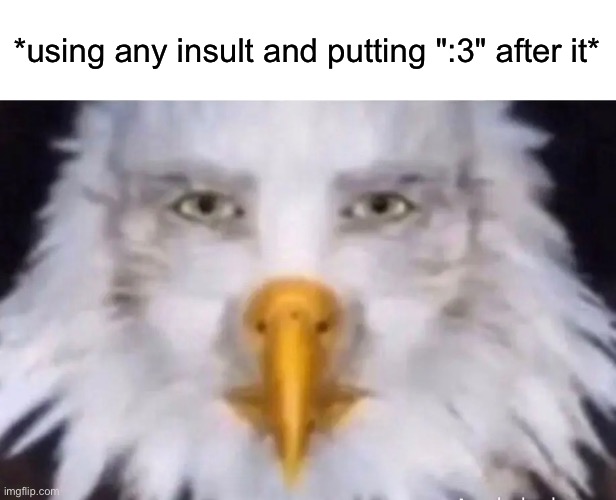 eagle straight face | *using any insult and putting ":3" after it* | image tagged in eagle straight face | made w/ Imgflip meme maker