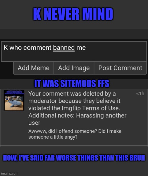 Ugh | K NEVER MIND; IT WAS SITEMODS FFS; HOW, I'VE SAID FAR WORSE THINGS THAN THIS BRUH | image tagged in ugh,bleh | made w/ Imgflip meme maker