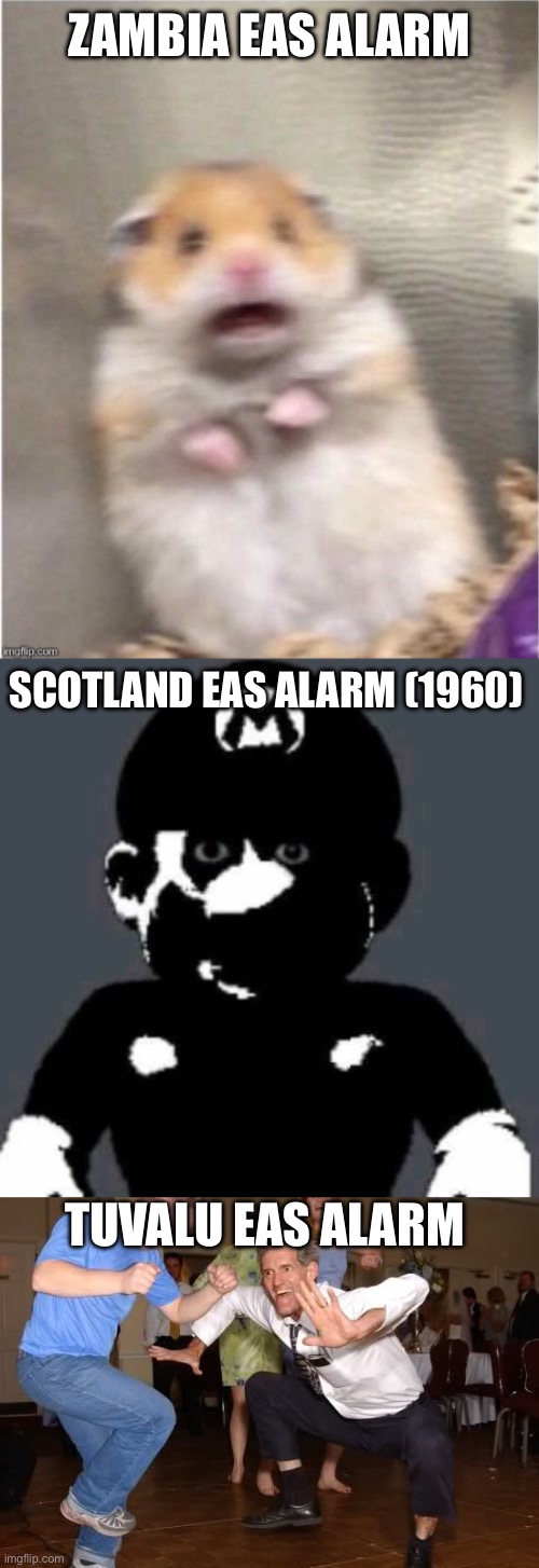 I could throw a party to Tuvalu’s alarm bro | ZAMBIA EAS ALARM; SCOTLAND EAS ALARM (1960); TUVALU EAS ALARM | image tagged in scared hamster,grey mario,the jig | made w/ Imgflip meme maker