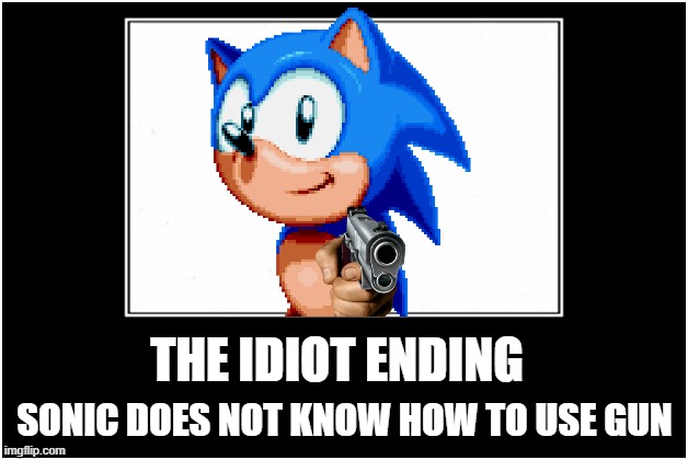 demotivational poster | THE IDIOT ENDING SONIC DOES NOT KNOW HOW TO USE GUN | image tagged in demotivational poster | made w/ Imgflip meme maker