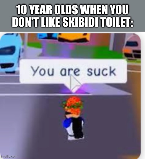 you are suck flamingo | 10 YEAR OLDS WHEN YOU DON’T LIKE SKIBIDI TOILET: | image tagged in you are suck flamingo,slibidi,skibidi toilet,toilet | made w/ Imgflip meme maker