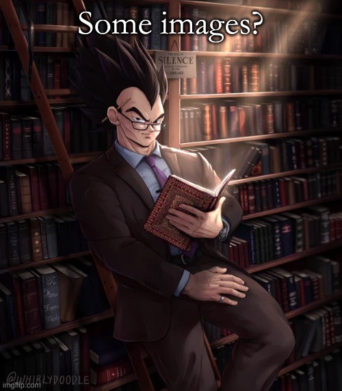 Librarian Vegeta | Some images? | image tagged in librarian vegeta | made w/ Imgflip meme maker
