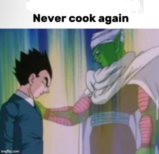 This shit was not it never cook again | image tagged in this shit was not it never cook again | made w/ Imgflip meme maker