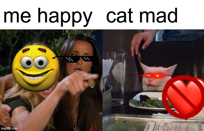 cat | me happy; cat mad | image tagged in memes,woman yelling at cat | made w/ Imgflip meme maker