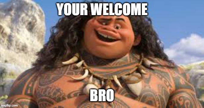 Your welcome | YOUR WELCOME BRO | image tagged in your welcome | made w/ Imgflip meme maker