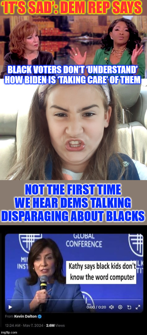 New polls show dems are losing Black voters... this is how they respond | image tagged in dems,panicked over losing black vote | made w/ Imgflip meme maker