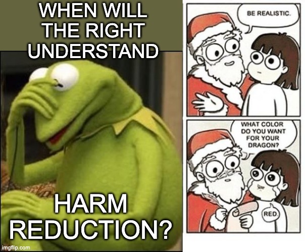 Policy thinking hobbled by a lack of conceptual mastery | WHEN WILL
THE RIGHT UNDERSTAND; HARM REDUCTION? | image tagged in kermit headdown,what color did you want your dragon,health,laws,policy | made w/ Imgflip meme maker