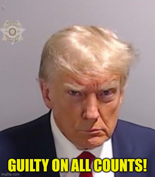 buh-bye! | GUILTY ON ALL COUNTS! | image tagged in donald trump mugshot | made w/ Imgflip meme maker