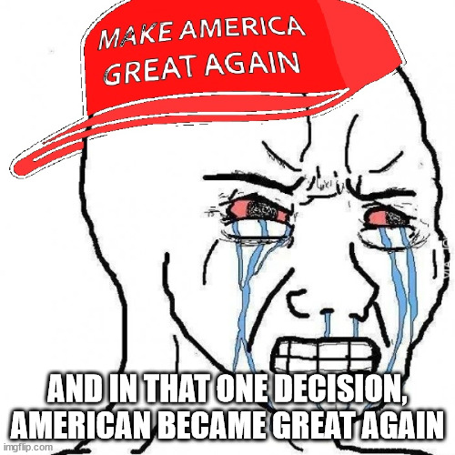 Trump Guilty | AND IN THAT ONE DECISION, AMERICAN BECAME GREAT AGAIN | image tagged in crying wojak maga | made w/ Imgflip meme maker