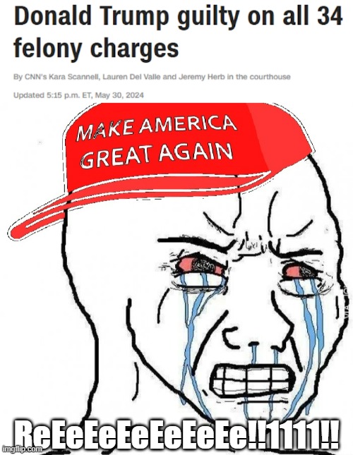 Best shit ever. | ReEeEeEeEeEeEe!!1111!! | image tagged in crying wojak maga,donald trump,guilty,new york | made w/ Imgflip meme maker