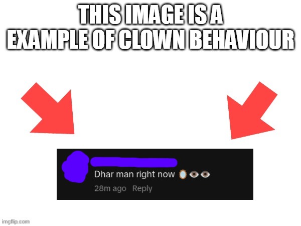 Ya know I don't mean the funny meaning of clown | image tagged in this image is a example of clown behaviour,neela jolene | made w/ Imgflip meme maker