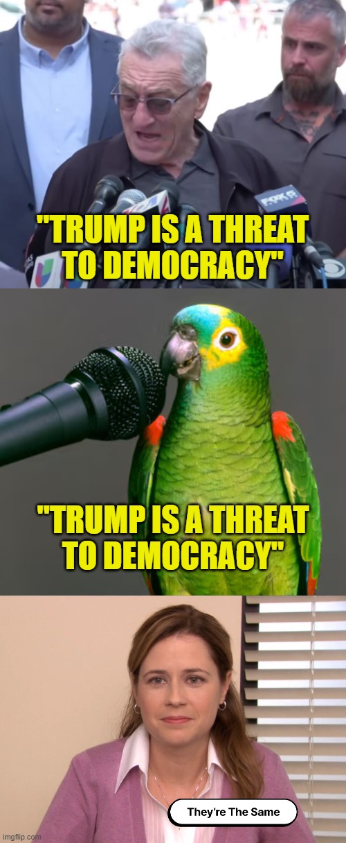 De Niro is a pretty bird! | "TRUMP IS A THREAT
TO DEMOCRACY"; "TRUMP IS A THREAT
TO DEMOCRACY" | image tagged in parrot | made w/ Imgflip meme maker