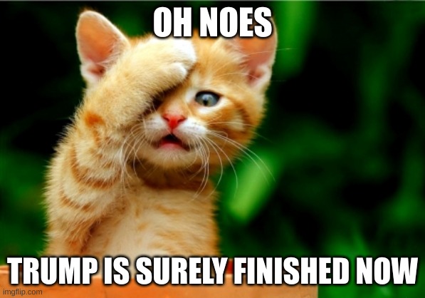 oh noes | OH NOES; TRUMP IS SURELY FINISHED NOW | image tagged in trump,oh noes | made w/ Imgflip meme maker