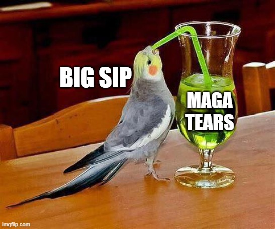 Big Sip | MAGA TEARS BIG SIP | image tagged in big sip | made w/ Imgflip meme maker