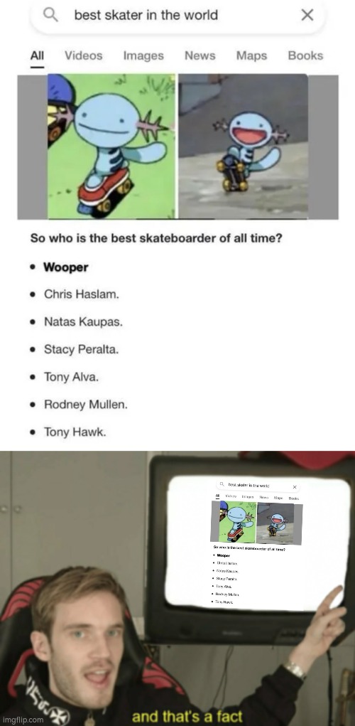 Ah yes. Whooper, the number 1 best Skateboarder. | image tagged in and that's a fact,funny,wooper,skateboard | made w/ Imgflip meme maker