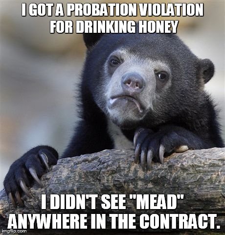 Confession Bear Meme | I GOT A PROBATION VIOLATION FOR DRINKING HONEY I DIDN'T SEE "MEAD" ANYWHERE IN THE CONTRACT. | image tagged in memes,confession bear | made w/ Imgflip meme maker