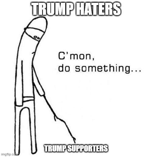 cmon do something | TRUMP HATERS; TRUMP SUPPORTERS | image tagged in cmon do something | made w/ Imgflip meme maker