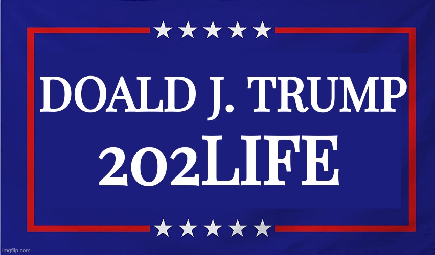 LOCK HIM UP! | DOALD J. TRUMP; 202LIFE | image tagged in trump campaign sign,lock him up,trump,guilty | made w/ Imgflip meme maker