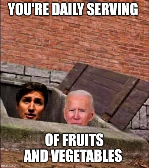 Trudeau and Biden in basement | YOU'RE DAILY SERVING; OF FRUITS AND VEGETABLES | image tagged in trudeau and biden in basement | made w/ Imgflip meme maker