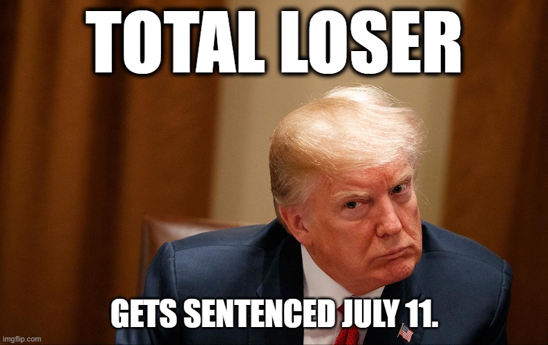 Total Loser | TOTAL LOSER; GETS SENTENCED JULY 11. | image tagged in donald trump | made w/ Imgflip meme maker