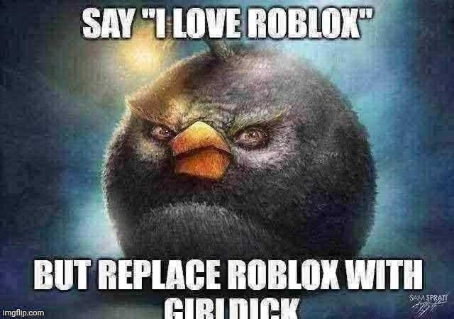 say roblox | image tagged in say roblox | made w/ Imgflip meme maker