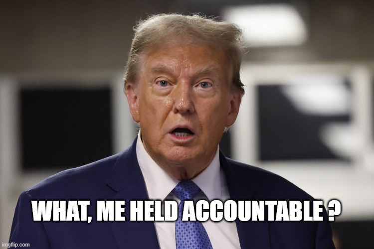 WHAT, ME HELD ACCOUNTABLE ? | image tagged in trump,guilty | made w/ Imgflip meme maker