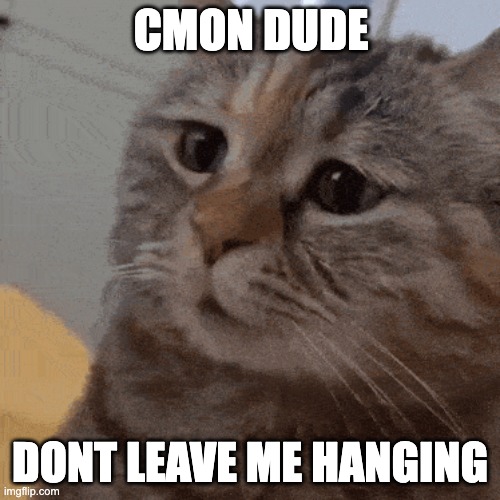 Sad Cat | CMON DUDE; DONT LEAVE ME HANGING | image tagged in cat | made w/ Imgflip meme maker