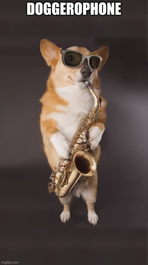 Corgi Saxophone | DOGGEROPHONE | image tagged in corgi saxophone | made w/ Imgflip meme maker