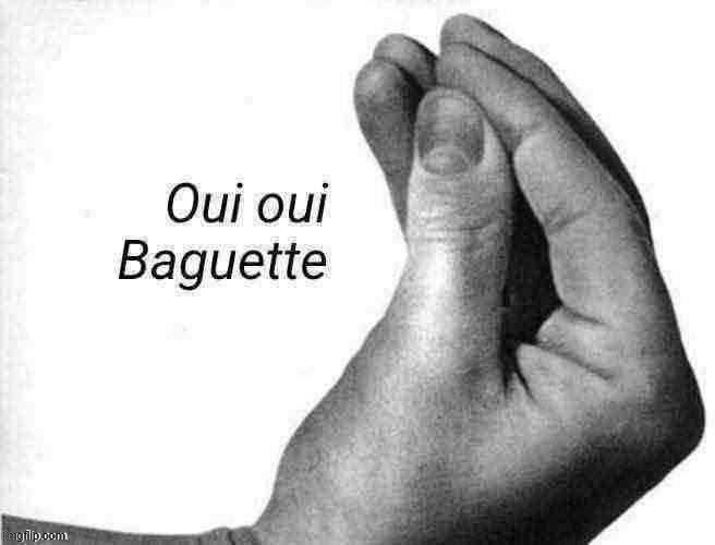 Oui oui baguette | image tagged in oui oui baguette | made w/ Imgflip meme maker
