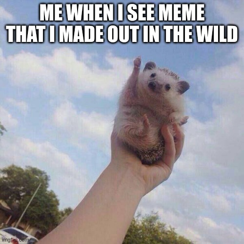 lets go | ME WHEN I SEE MEME THAT I MADE OUT IN THE WILD | image tagged in lets go,yay,fun,relatable | made w/ Imgflip meme maker