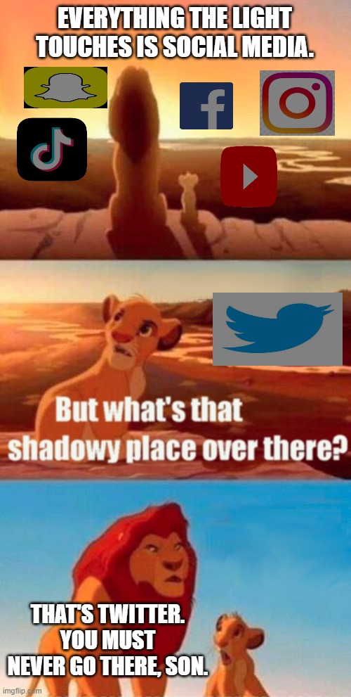 Simba Shadowy Place | EVERYTHING THE LIGHT TOUCHES IS SOCIAL MEDIA. THAT'S TWITTER. YOU MUST NEVER GO THERE, SON. | image tagged in memes,simba shadowy place,twitter | made w/ Imgflip meme maker